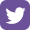 Twitter Icon